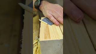 Best Technical Clamp Wood Working  What The Amazing Tip shorts reel viral diy [upl. by Ahtnicaj]