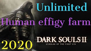 Dark souls 2 human effigy farming [upl. by Kostman]