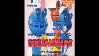 Dj Sy Mad P Ribbz Conrad  Dreamscape 10 Friday 8th April 94 [upl. by Cazzie]