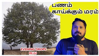 Gold விட விலை உயர்ந்த ஒரு Miracle Tree  bodhichitta tree  Eevening Drops  Reju [upl. by Doty]