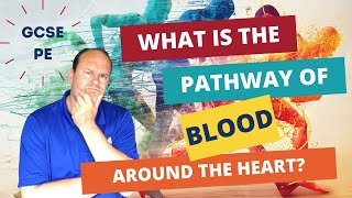 GCSE PE What is the pathway of blood around the heart [upl. by Godard]