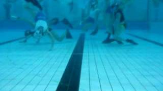 2004 Underwater Hockey Nationals in Hobart [upl. by Krock]