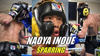 Naoya Inoue Sparring [upl. by Novel]