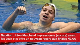 Natation  Léon Marchand impressionne avant les Jeux et s’offre un nouveau record aux finales NCAA [upl. by Procora876]