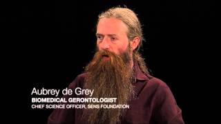 Aubrey de Grey  Strategies for Engineered Negligible Senescence Research Projects [upl. by Fates]