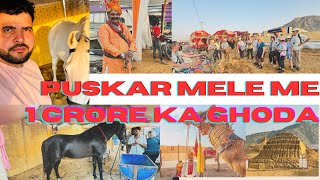 Foreigner Visit Pushkar Mela ￼ 1 ￼ crore ka Ghoda😲 [upl. by Asillim70]