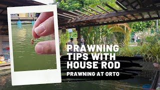 Singapore Prawning  Some tips for beginners using house rods 🦐 [upl. by Viradis]