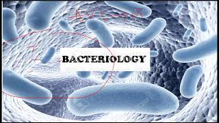 Bacteriology introduction About Bacteria [upl. by Alleen411]