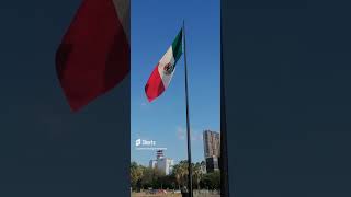 Nuestra Bandera 🇲🇽 Macro 🌳🌳 caminaconmigo316 [upl. by Adnirak9]