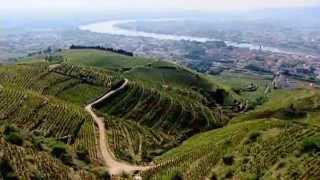 Discover The Wines of the Rhone Valley Part 1 of 3 [upl. by Anneehs745]