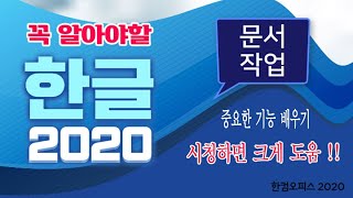 한글 프로그램 으로 문서작업 할때 꼭  꼭  알아야 하는 기능 및 실무 활용 팁을 아주 쉽게 알려 드립니다 [upl. by Enilreug798]