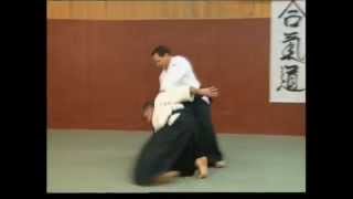 Aikido  Irimi nage [upl. by Treharne]