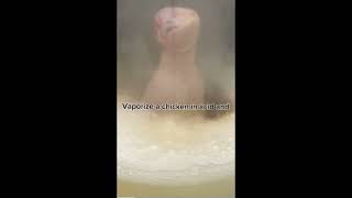 Vaporizing a chicken in acid 🤯 [upl. by Upton166]