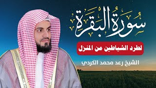 ما تيسر من سورة البقرة تلاوة هادئة تقشعر لها الأبدان😌 بصوت الشيخ رعد الكردي لطرد الشياطين من المنزل🏠 [upl. by Ymmaj]