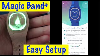 How to Set Up MagicBand Fast and Easy [upl. by Votaw595]