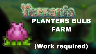 How to make a Plantera Bulb Farm 14 All Platfroms [upl. by Anelak503]