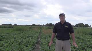 Chemical Weed Control at UD Carvel Research amp Education Center [upl. by Ayotnom]