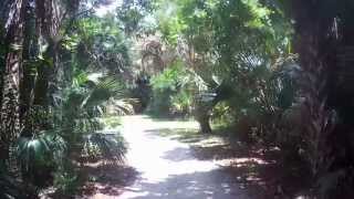 Walking Around Caloosahatchee Regional Park in Alva Florida [upl. by Ymer]