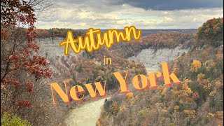 Why we love Fall Day trip to Letchworth State Park [upl. by Mayman]