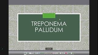 treponema pallidum [upl. by Hallie]