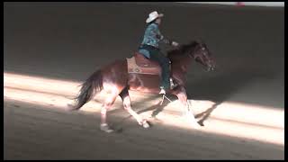 Tracy Burnside 2011 Classic NRHA Non Pro [upl. by Malim]