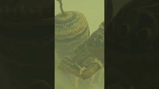 Botw Vah Naboris Kampf [upl. by Mellette]