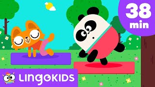 Yoga for Kids 🧘💙 Practice in Family during Summer Games with Lingokids [upl. by Hilliary]