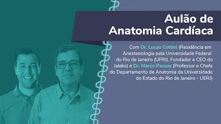 Aulão de Anatomia Cardíaca [upl. by Adnhoj]