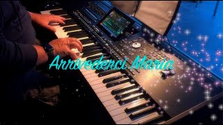 Played live on the Korg Pa5X  Arrivederci Maria [upl. by Ainirtac873]