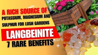 Langbeinite A Rich Source of potassium magnesium and Sulphur for Lush Gardens  7 Rare benefits [upl. by Duvall]