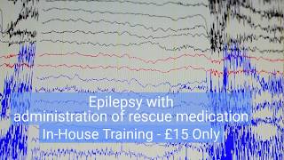 Epilepsy with administration of rescue medication  Learning Connect  CPD Accredited Care Courses [upl. by Jaco593]