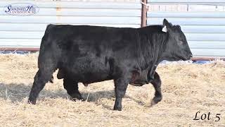 Lot 5SHL 35L SHEHC 2024 [upl. by Dduj]