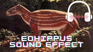 Eohippus sound effect  Eohippus sound Prehistoric animals sounds [upl. by Whitehurst379]