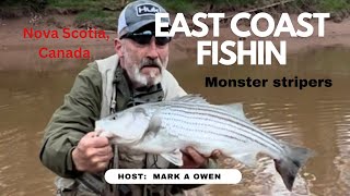 Monster Striped Bass on the FLY Nova Scotia Canada [upl. by Mott]