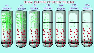 immunoassay with precipitin forming in tubes [upl. by Joerg]