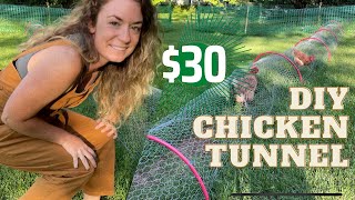 DIY Chicken Tunnel  HowTo amp Price Breakdown [upl. by Vanni]