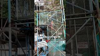 Vertigo test safety scaffolding funny [upl. by Nomla]