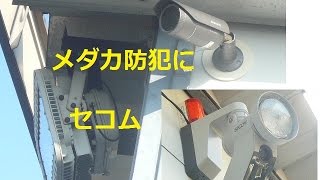 我が家のメダカ環境 盗難 防犯にセコム ２台のカメラで１か月間録画セキュリティー 楊貴妃 [upl. by Icaj]