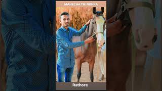 rajsthanifolkmusic marwarmusic song Mahecha Rathore folkmusic [upl. by Heilman953]