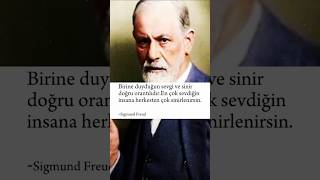 Sigmund Freud Sevgi ve sinir orantısıfelsefe [upl. by Naoh]