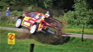 ADAC Rallye Deutschland 2019  CRASH amp MISTAKES [upl. by Nolava468]