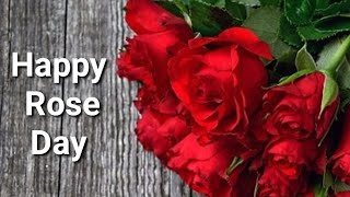 🌹Happy Rose Day 🌹  Happy Rose Day Wishes Quotes  Rose Day Status Video  Romantic Rose Day Quotes [upl. by Marylin632]