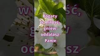 Bogaty w miłość [upl. by Cuda201]