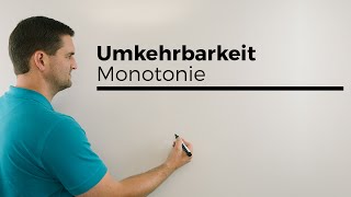 Umkehrbarkeit Monotonie mit Skizze Funktionen und mögliche Umkehrfunktion  Mathe by Daniel Jung [upl. by Cassandre]