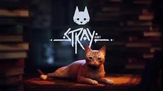 Stray part 2 [upl. by Amaris]