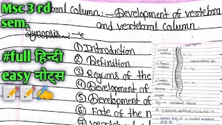 Development of vertebra and vertebral column vertebral column msc zoology 3 rd sem हिन्दी notes [upl. by Inaleon412]