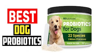 ✅Top 5 Best Dog Probiotics in 2024 [upl. by Magnuson]