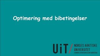 Optimering med bibetingelser [upl. by Boswall74]