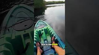 MaritimeExpeditions TARPON off KAYAK kayakfishing tarpon fishing [upl. by Eizzo]