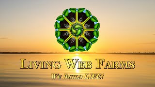 Living Web Live Episode 1 [upl. by Kopans]